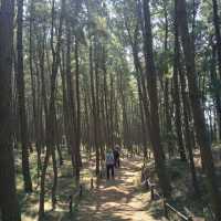 Taeanhaean National Park