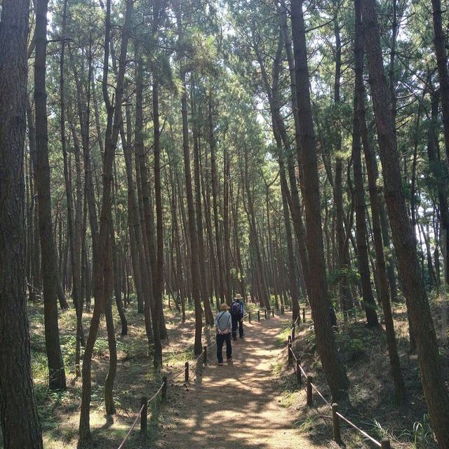 Taeanhaean National Park