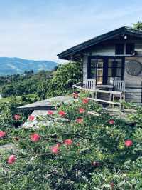 MAGIC MOUNTAIN CAMP | เมจิกเมาน์เทน แคมป์
