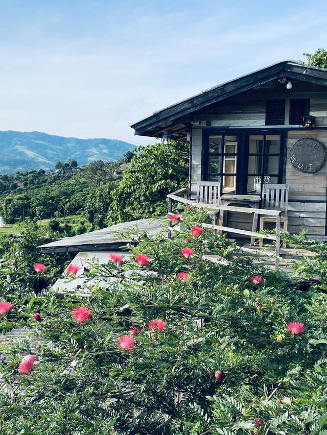 MAGIC MOUNTAIN CAMP | เมจิกเมาน์เทน แคมป์