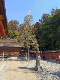 快閃日本仙台：宮城縣鹽竈神社(一宮)