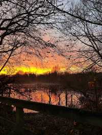 Reddish Vale Country Park