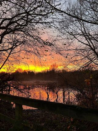 Reddish Vale Country Park