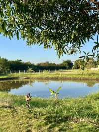 ที่พักราคาถูก ใกล้แหล่งท่องเที่ยว จ.ลพบุรี
