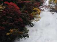 Senjogahara กับใบไม้เปลี่ยนสี ที่ Nikko คือที่สุดด