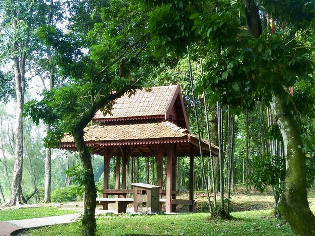 Step into Spring at Taman Tasik Permaisuri - Where Hiking Meets Nature