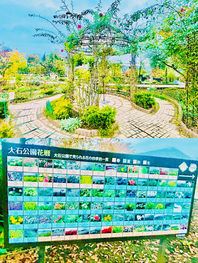 【日本山梨】河口湖大石公園：四季分明的自然美景