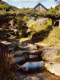 A Tranquil Botanical Retreat