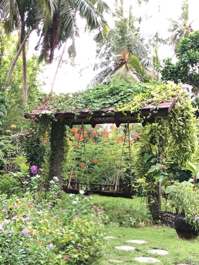 🌿 "Morning mist over Lake Buyan - Denbukit's spring magic is real! 