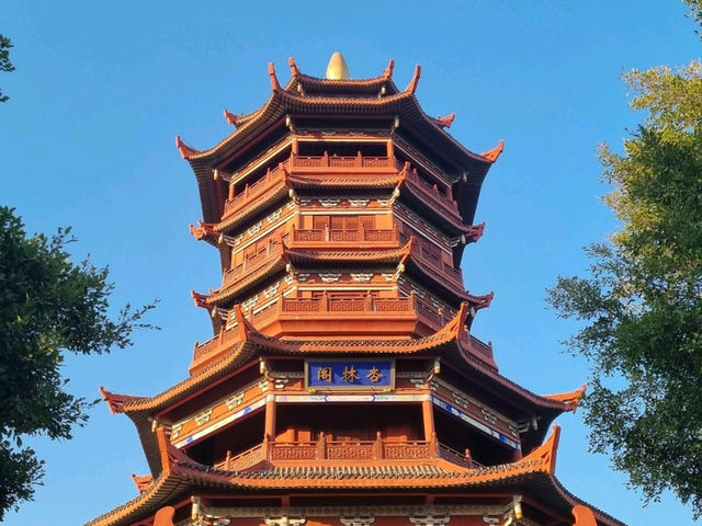 Xiamen in Autumn, lush and cool