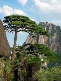 Huangshan: The Majestic Mountain of Wonders