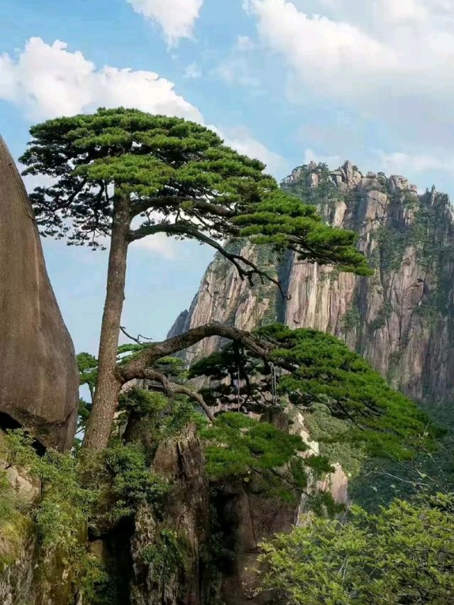 Huangshan: The Majestic Mountain of Wonders