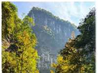 Chongqing Unveiled: From Ancient Rock Carvings to Nature’s Grand Masterpieces