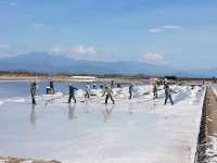 Sustainable Travel at Ninh Hòa’s Salt Fields – A Lesson in Tradition and Preservation