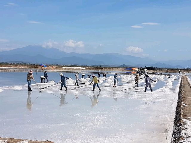 Sustainable Travel at Ninh Hòa’s Salt Fields – A Lesson in Tradition and Preservation