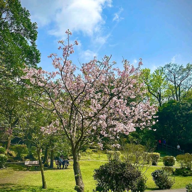 陽明山前山公園