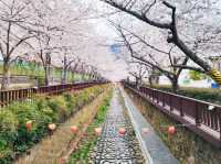 Yeojwacheon Romance Bridge review