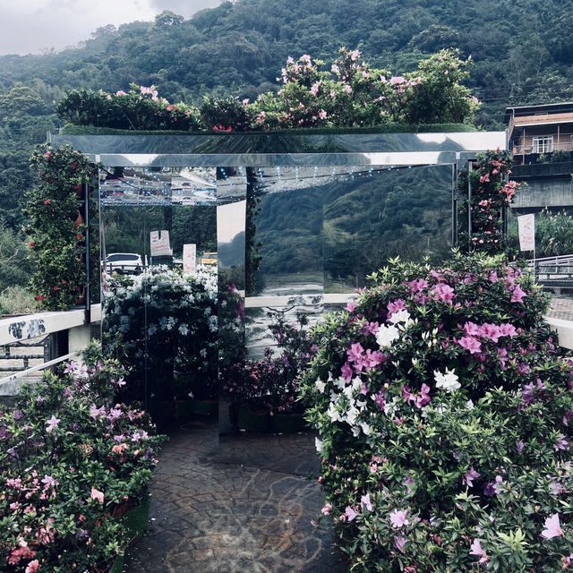 萬里杜鵑花季｜免費賞花好去處，春日漫遊半日遊推薦！