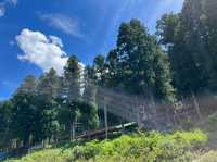  岐阜の美しい自然と温泉を楽しむ、心も体も癒されるスポットを紹介！🌿