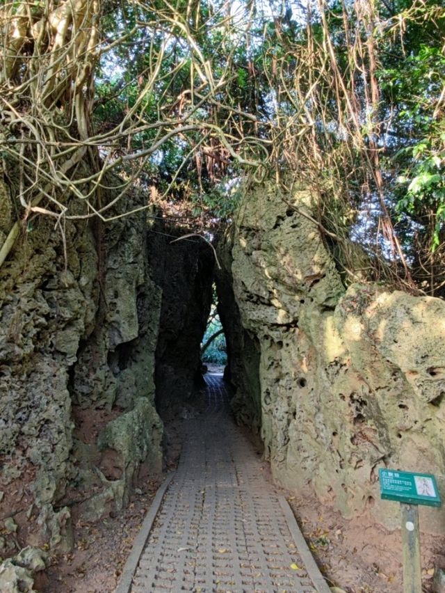 #社頂自然公園-屏東縣恆春鎮