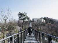 韓國冷門景點超推薦｜愛妓峰交通攻略 週末限定公車 北韓邊境一覽無遺