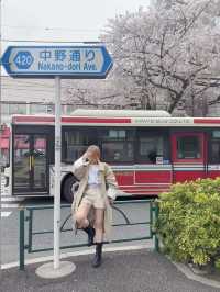 東京小眾賞櫻攻略🌸中野北口-新井藥師前