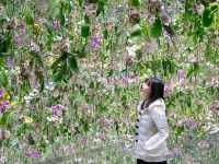 teamLab Planets Tokyo เปิดโซนใหม่ 2025