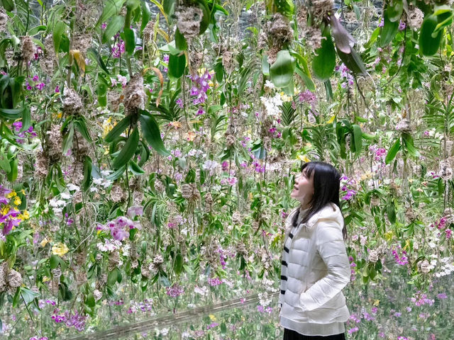teamLab Planets Tokyo เปิดโซนใหม่ 2025