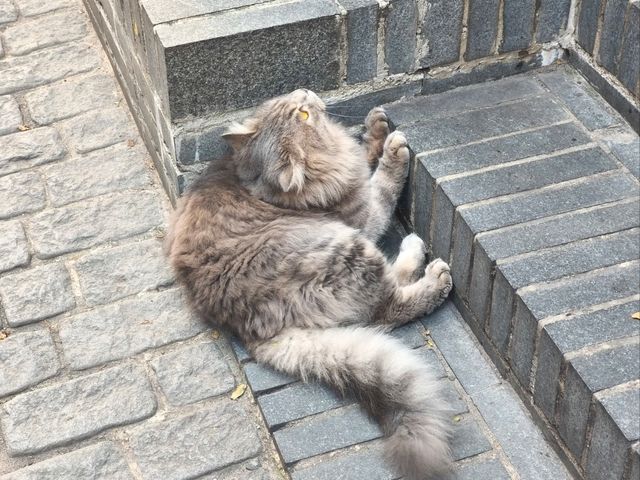 深圳短遊「南頭古城」2~3小時