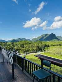 ไร่ชา 1000 ไมล์ – แวะพักชิมชา กาแฟ สไตล์ชิลๆ