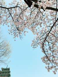 서울 명소로 가보세요!!