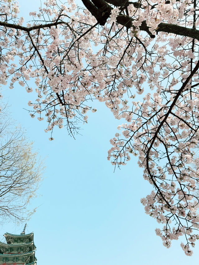 서울 명소로 가보세요!!