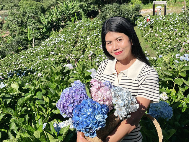 สวรรค์ของคนรักดอกไม้ 🌈