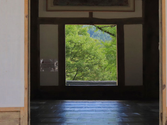 🌿 구례 천은사, 지리산 품에 안긴 고요한 쉼터