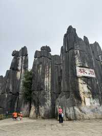 Shilin amazing stone forest