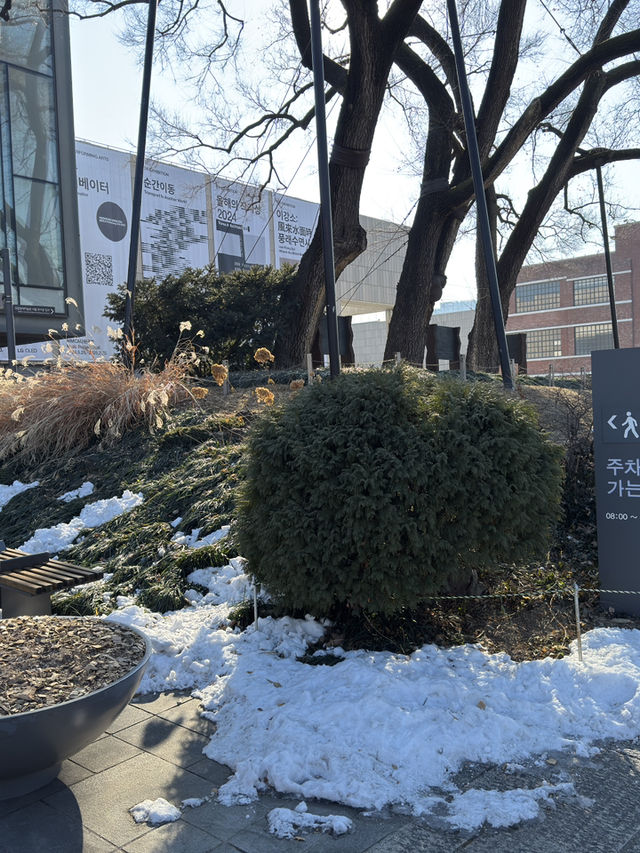 首爾｜國立民俗博物館｜拍照打卡好去處