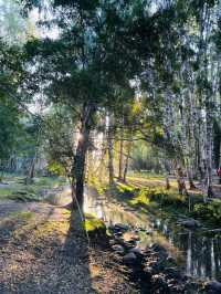Discover Hemu: Where Nature and Culture Meet