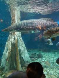 Aquaria KLCC