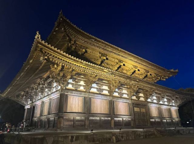 京都車站周邊賞櫻首選---東寺•夜櫻