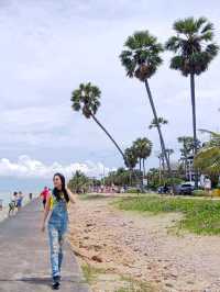 ตาล 3 ต้น ปราณบุรี