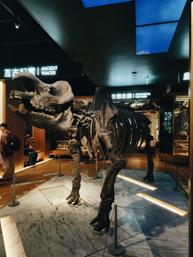 Explore National Taiwan Museum