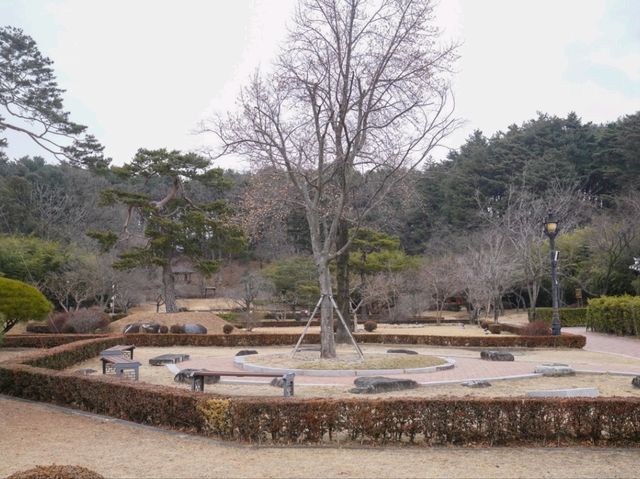 🌻🌼강원도 강릉 여행지 명소 강릉 오죽헌 
