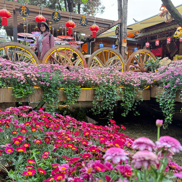 พาเดิน เมืองโบราณ Lijiang Ancient Town🇨🇳