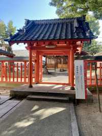 【福岡県博多🇯🇵若宮神社】海上安全、土地の守り神☺️