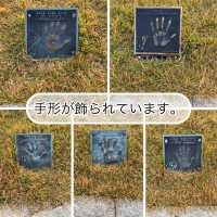 【山口県下関市🇯🇵みもすそ川公園】壇ノ浦の戦いの舞台へ
