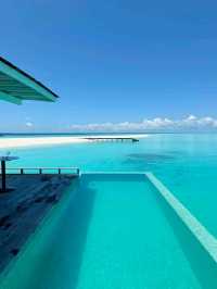 Maldives Vibes: Feel It, Live It, Love It