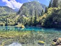 A Dream in Color: Reflections After Visiting Jiuzhaigou 