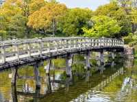 名古屋-白鳥庭園，春櫻蕩漾，東海地區最大的池泉回遊式庭園