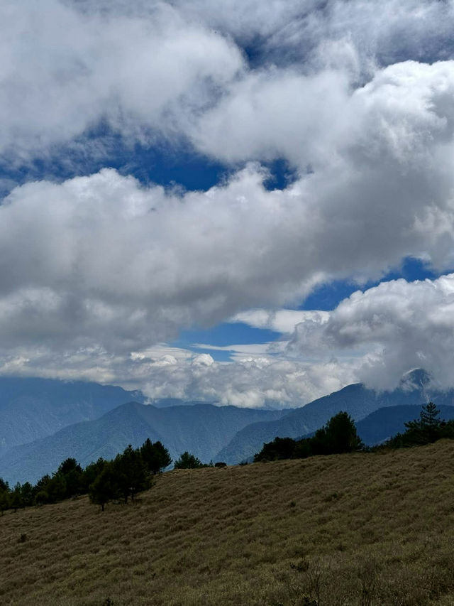 塔塔加的熱門山～麟趾山輕鬆走