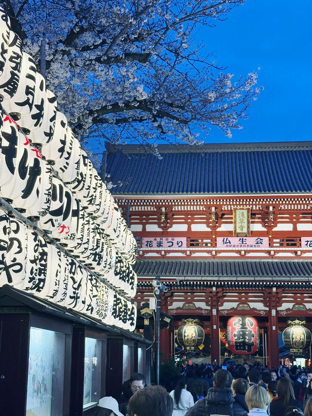 A Day in Asakusa, Tokyo